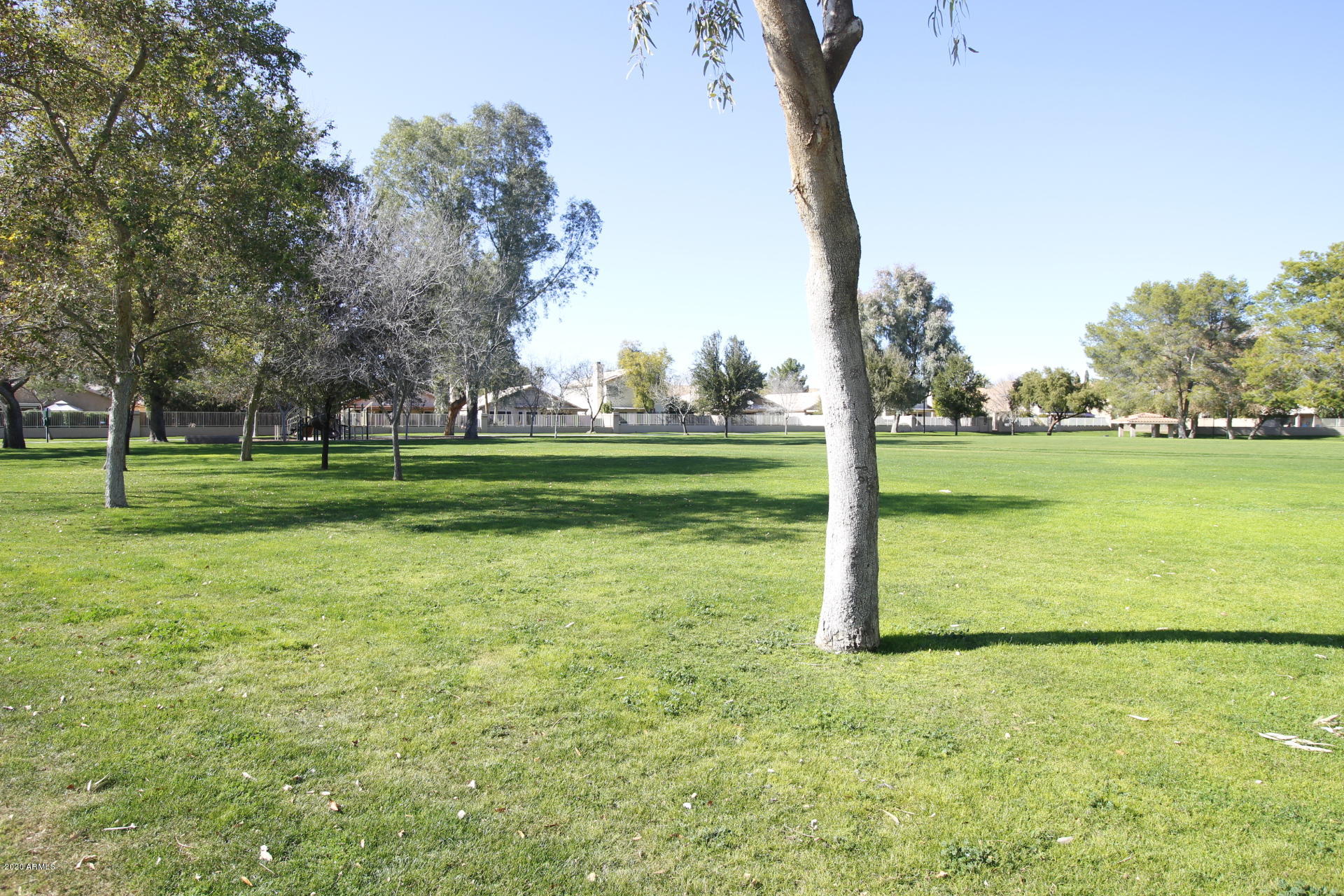 1611 West Del Rio Street Chandler, AZ 85224 - Photo 38 of 38 a view of a park with big trees