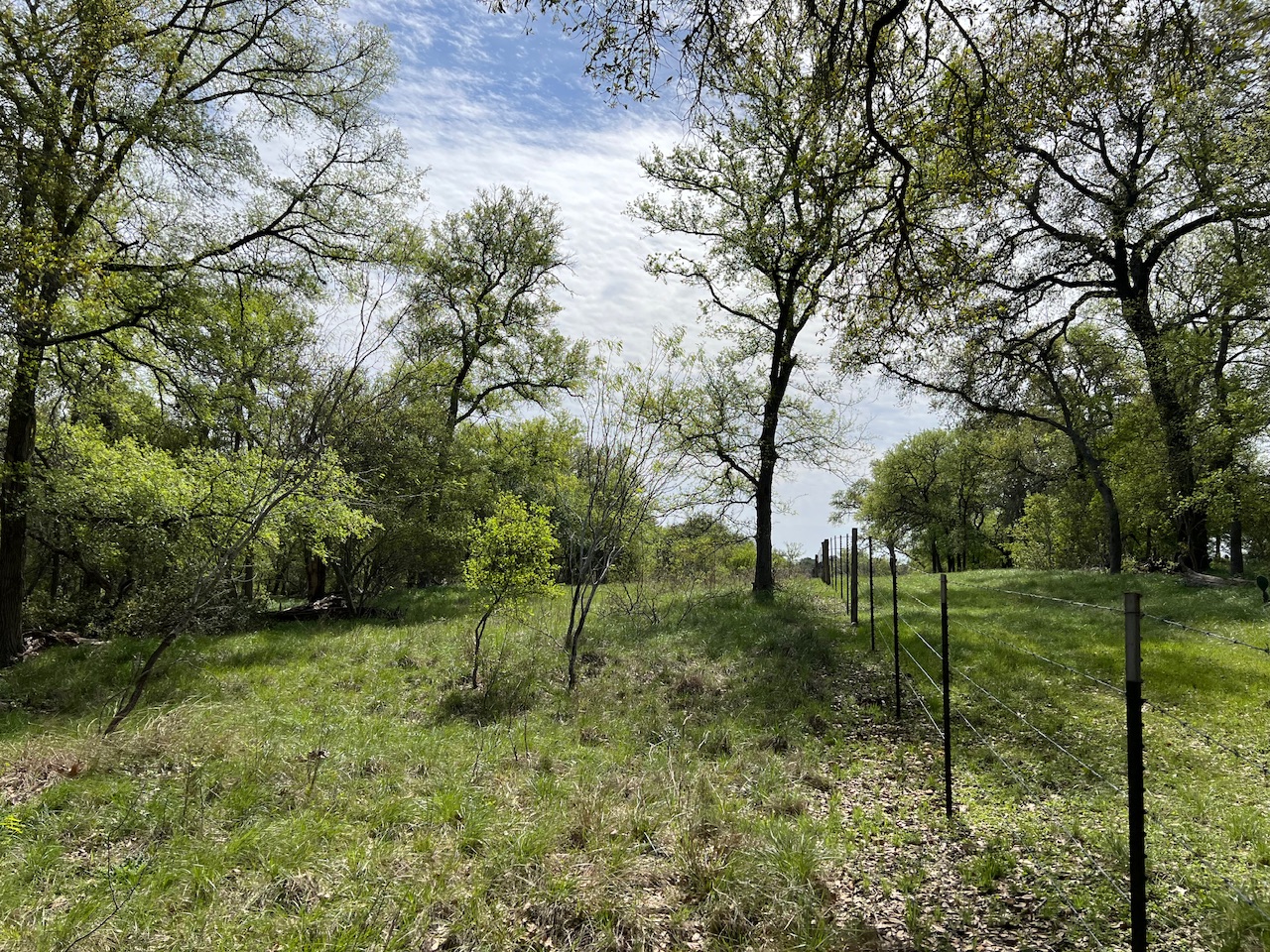 Tbd Cunningham Drive Lockhart, TX 78644 - Photo 9 of 15