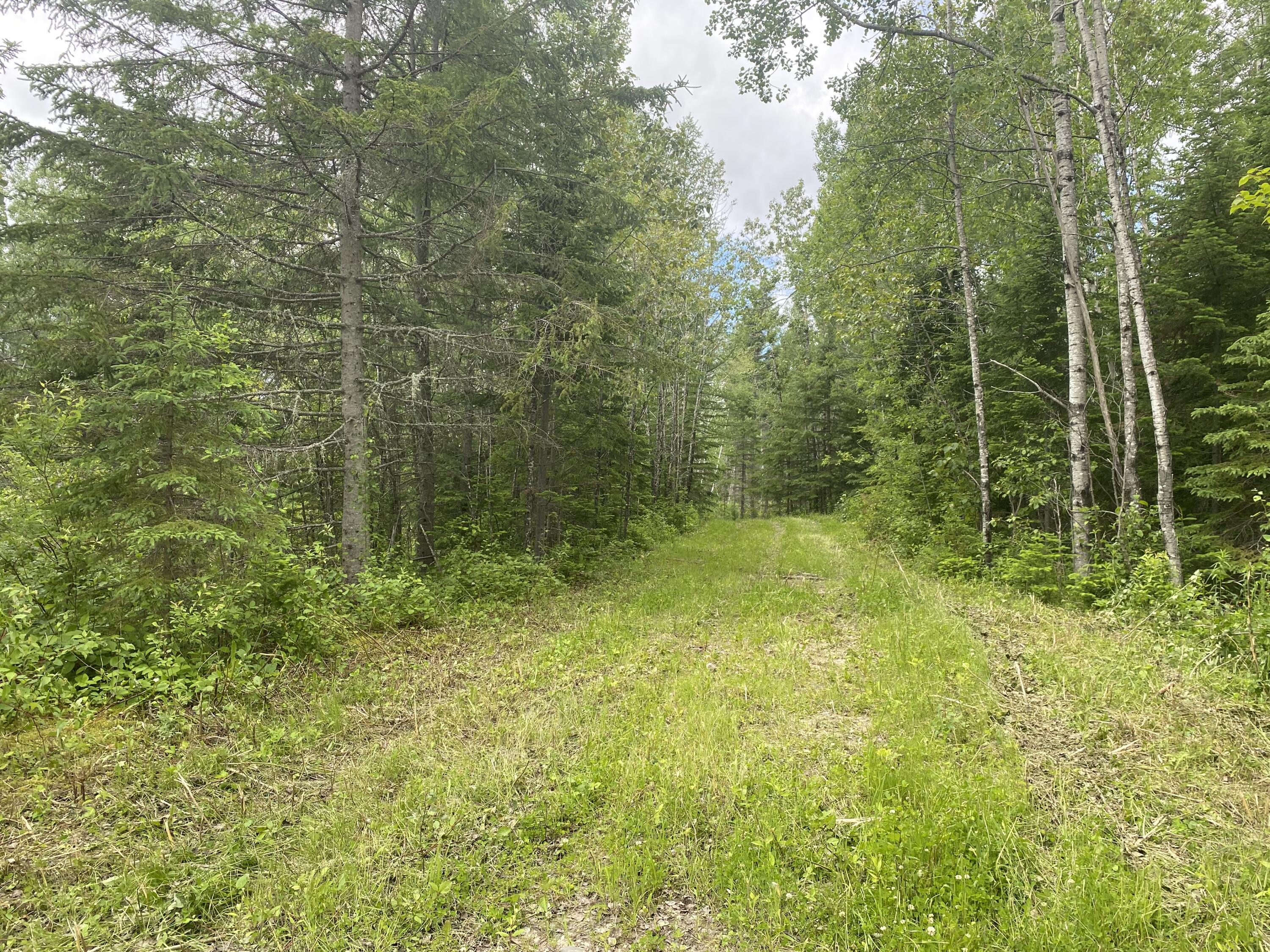 Lot 28 Rabbit Ridge Road Woodland, ME 04736 - Photo 29 of 33 IMG_2301