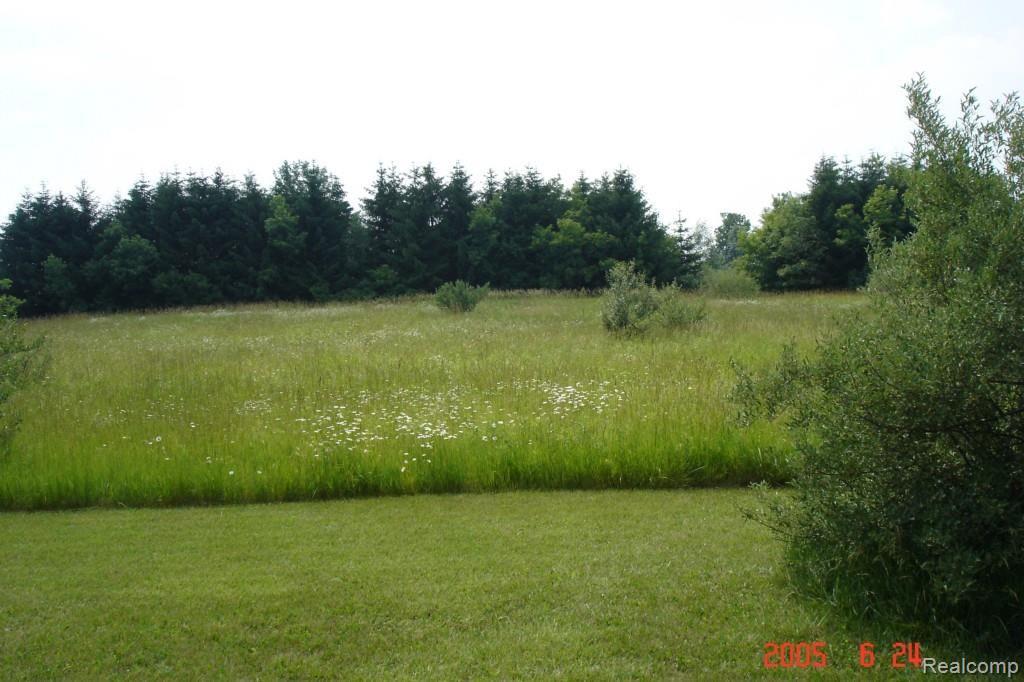 5931 Lippincott Road Lapeer, MI 48446 - Photo 41 of 54 Acreage W. 3