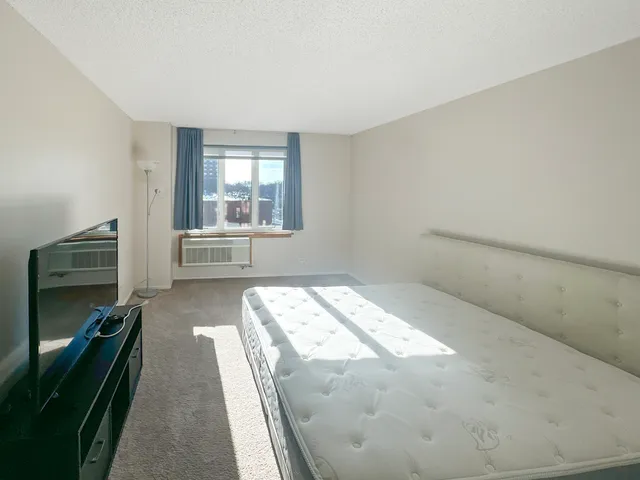 $1,700 | 801 South Plymouth Court, Unit 318, Chicago, IL 60605