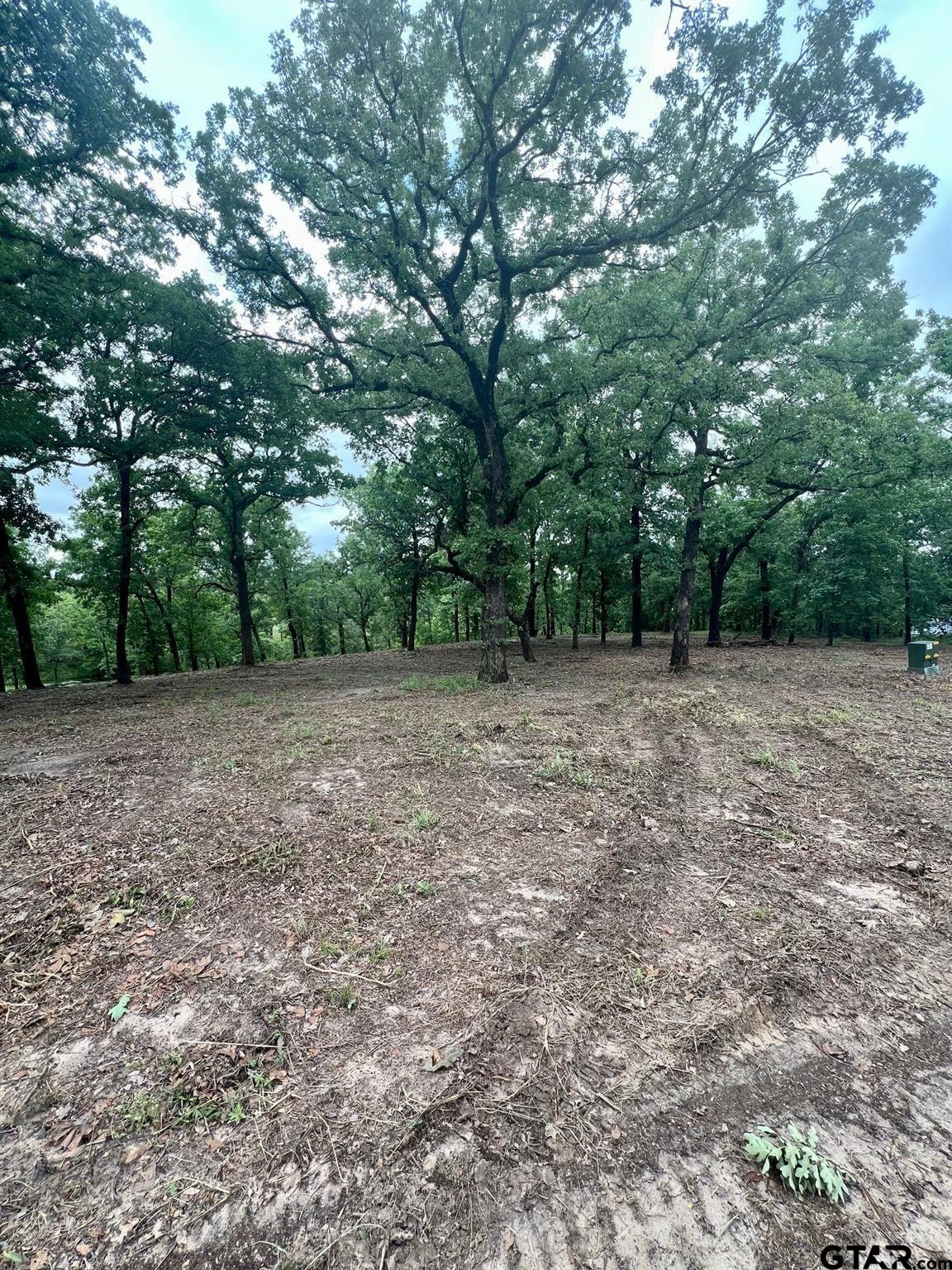 Lot 14 County Road 4801 Athens, TX 75752 - Photo 11 of 15 a view of a field with trees in front of it