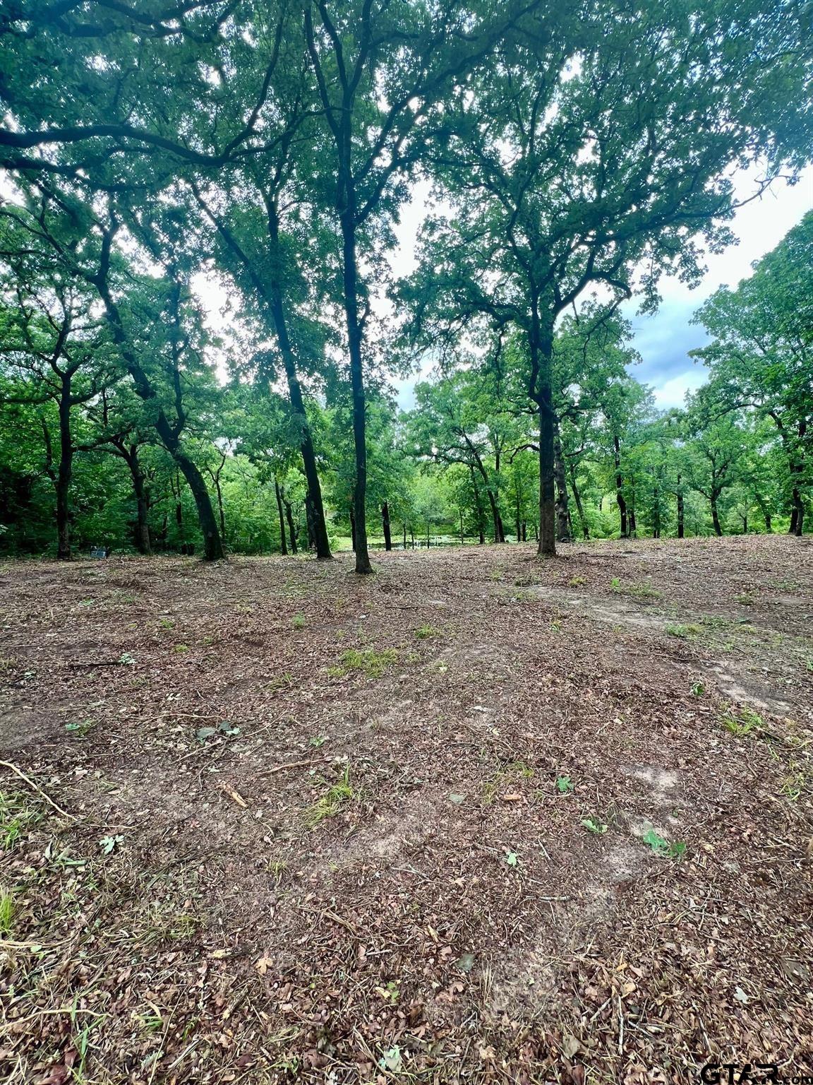 Lot 14 County Road 4801 Athens, TX 75752 - Photo 13 of 15 a view of an outdoor space with trees