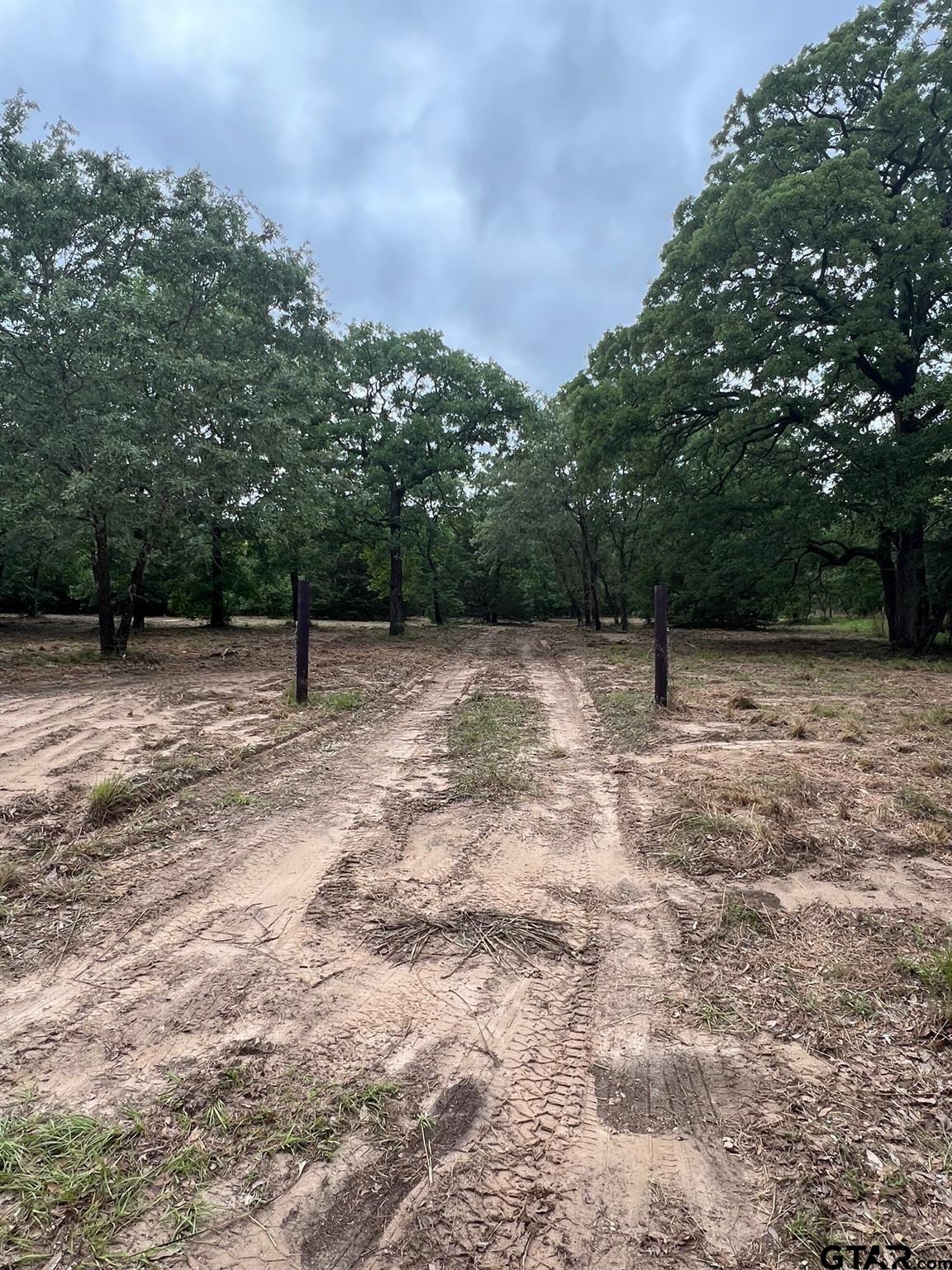 Lot 14 County Road 4801 Athens, TX 75752 - Photo 2 of 15 a view of a yard with a tree