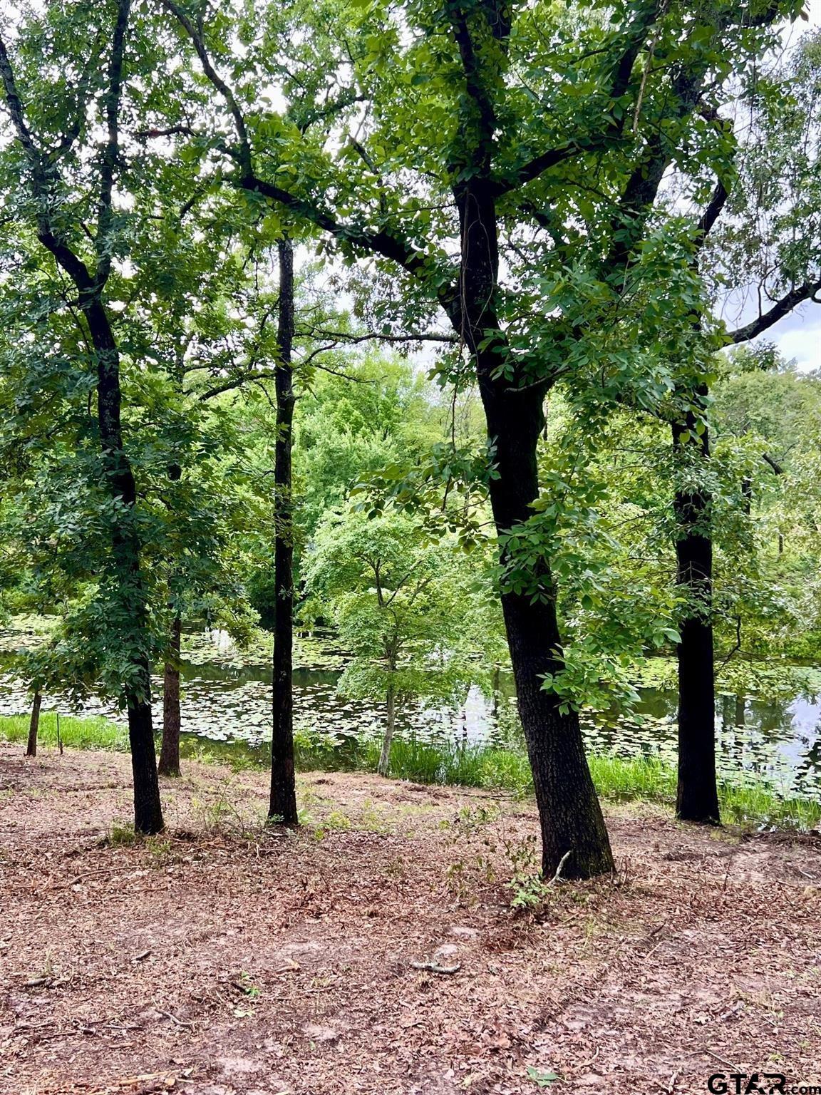 Lot 14 County Road 4801 Athens, TX 75752 - Photo 3 of 15 a view of a tree in the forest
