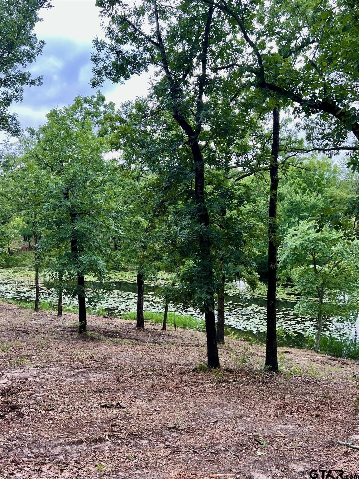 Lot 14 County Road 4801 Athens, TX 75752 - Photo 4 of 15 a view of some trees in the forest
