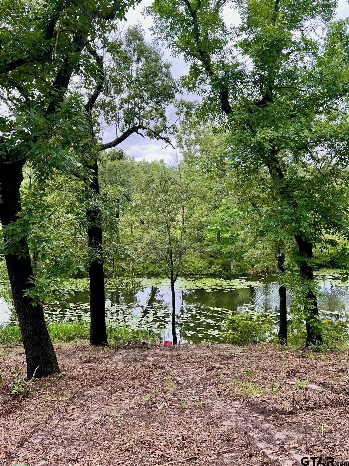 Lot 14 County Road 4801 Athens, TX 75752 - Photo 5 of 15 a backyard of a house with lots of green space