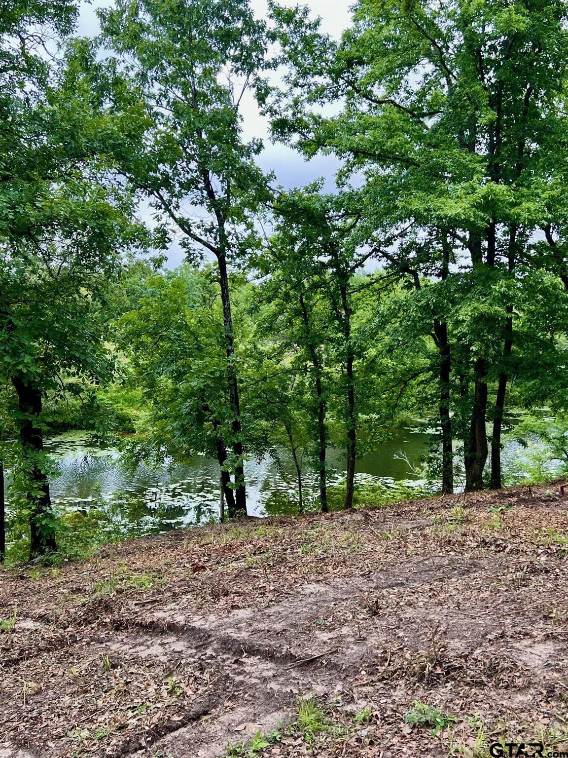 Lot 14 County Road 4801 Athens, TX 75752 - Photo 6 of 15 a view of outdoor space and trees