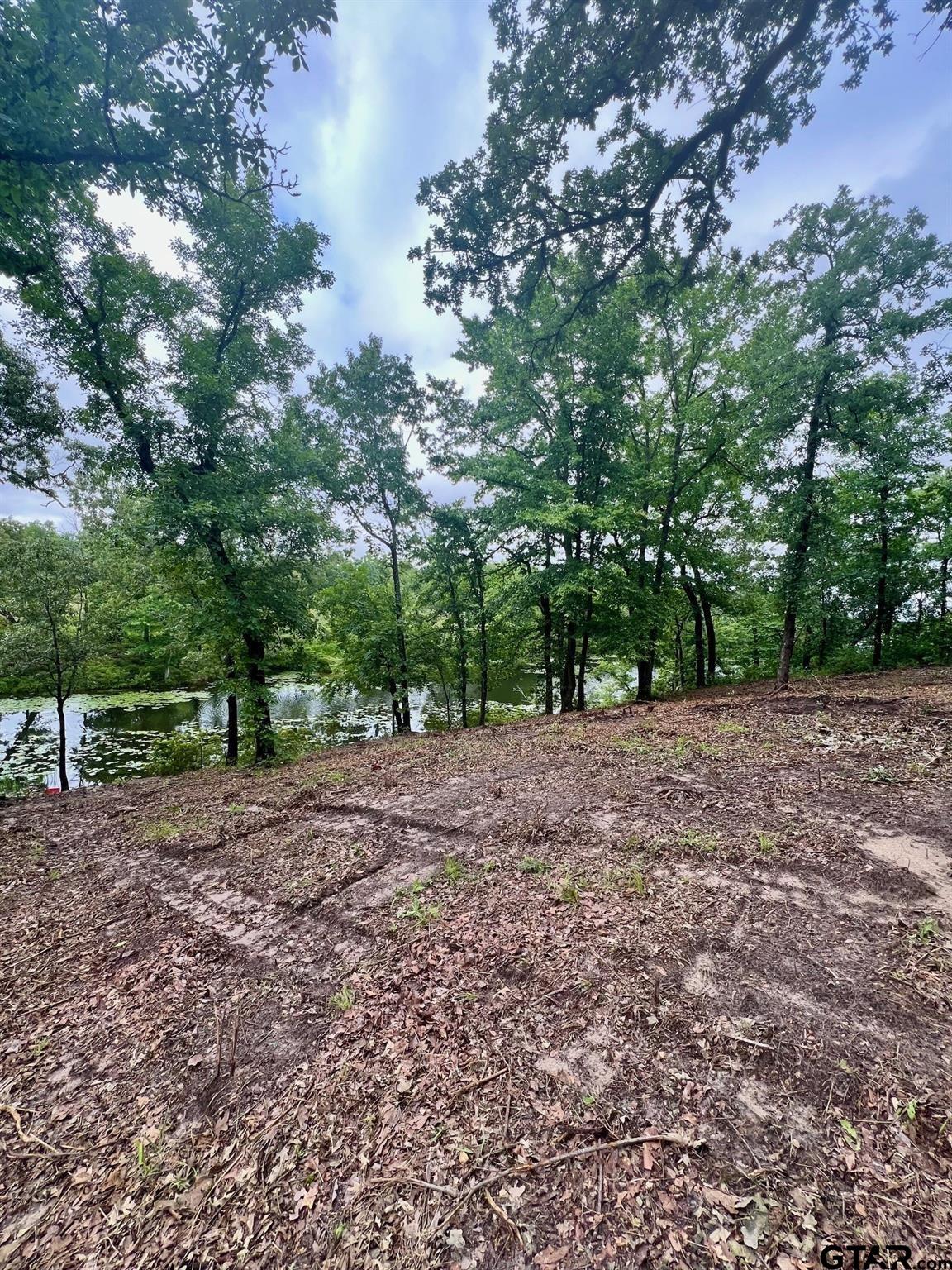 Lot 14 County Road 4801 Athens, TX 75752 - Photo 7 of 15 a view of a yard with large trees