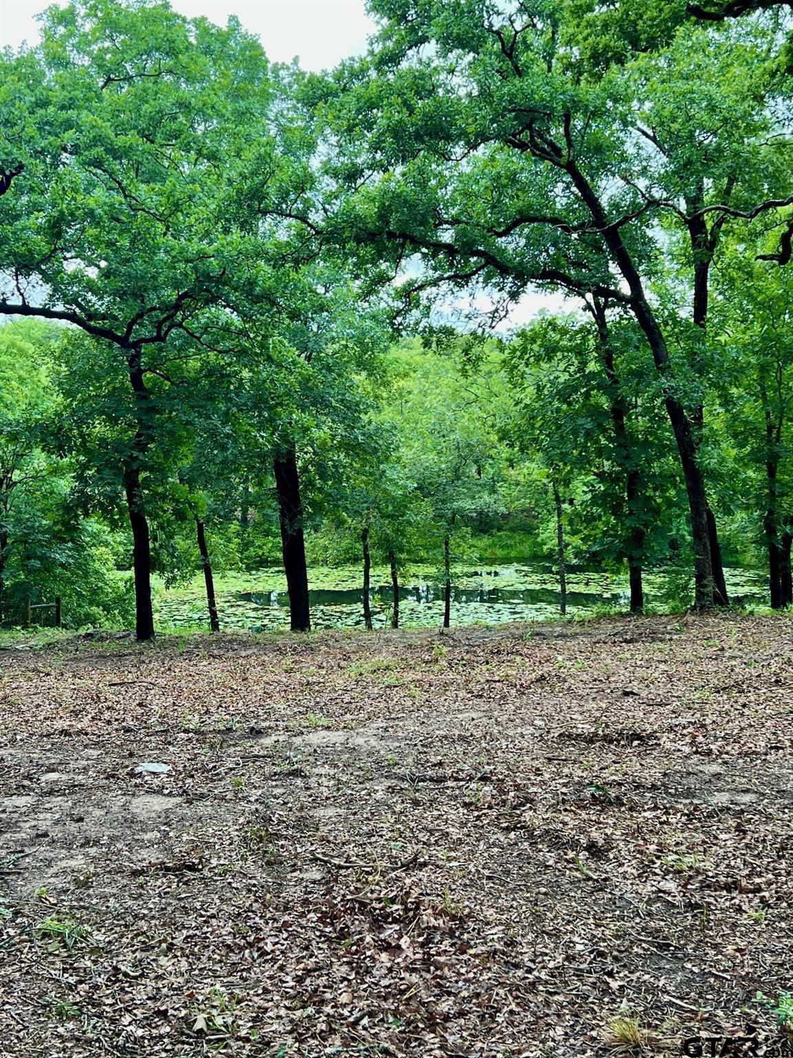 Lot 14 County Road 4801 Athens, TX 75752 - Photo 8 of 15 a view of a yard with plants and trees