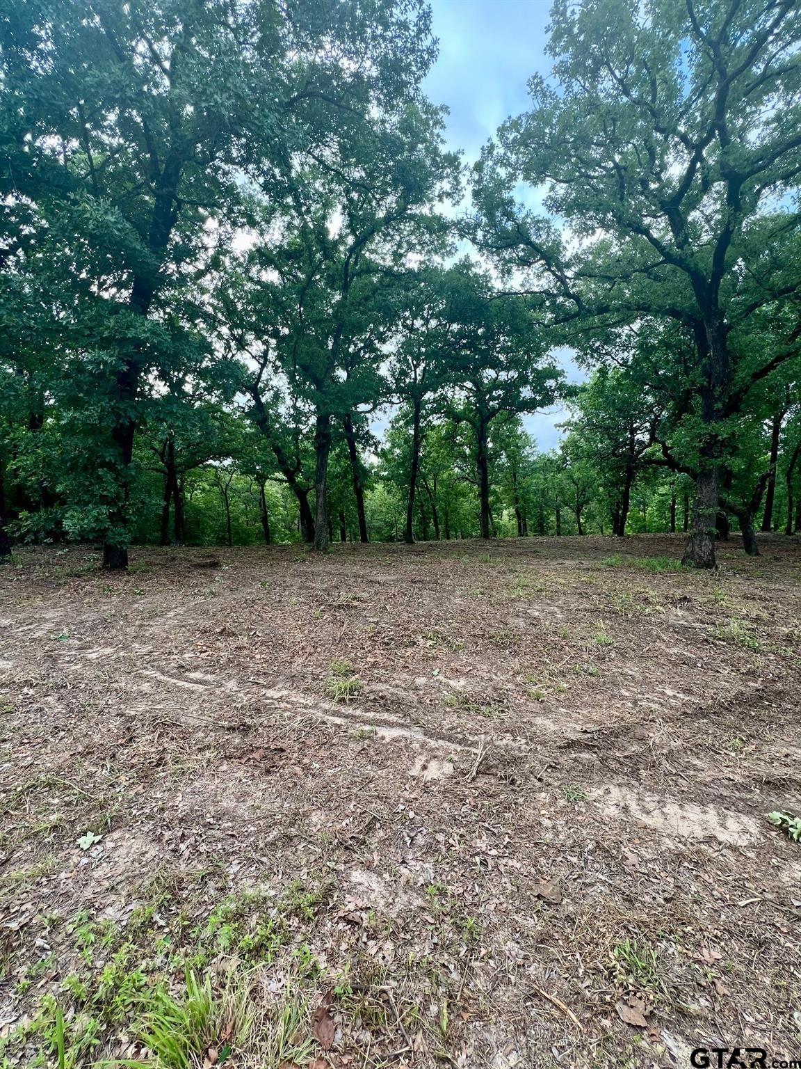 Lot 14 County Road 4801 Athens, TX 75752 - Photo 9 of 15 a view of a yard with a tree