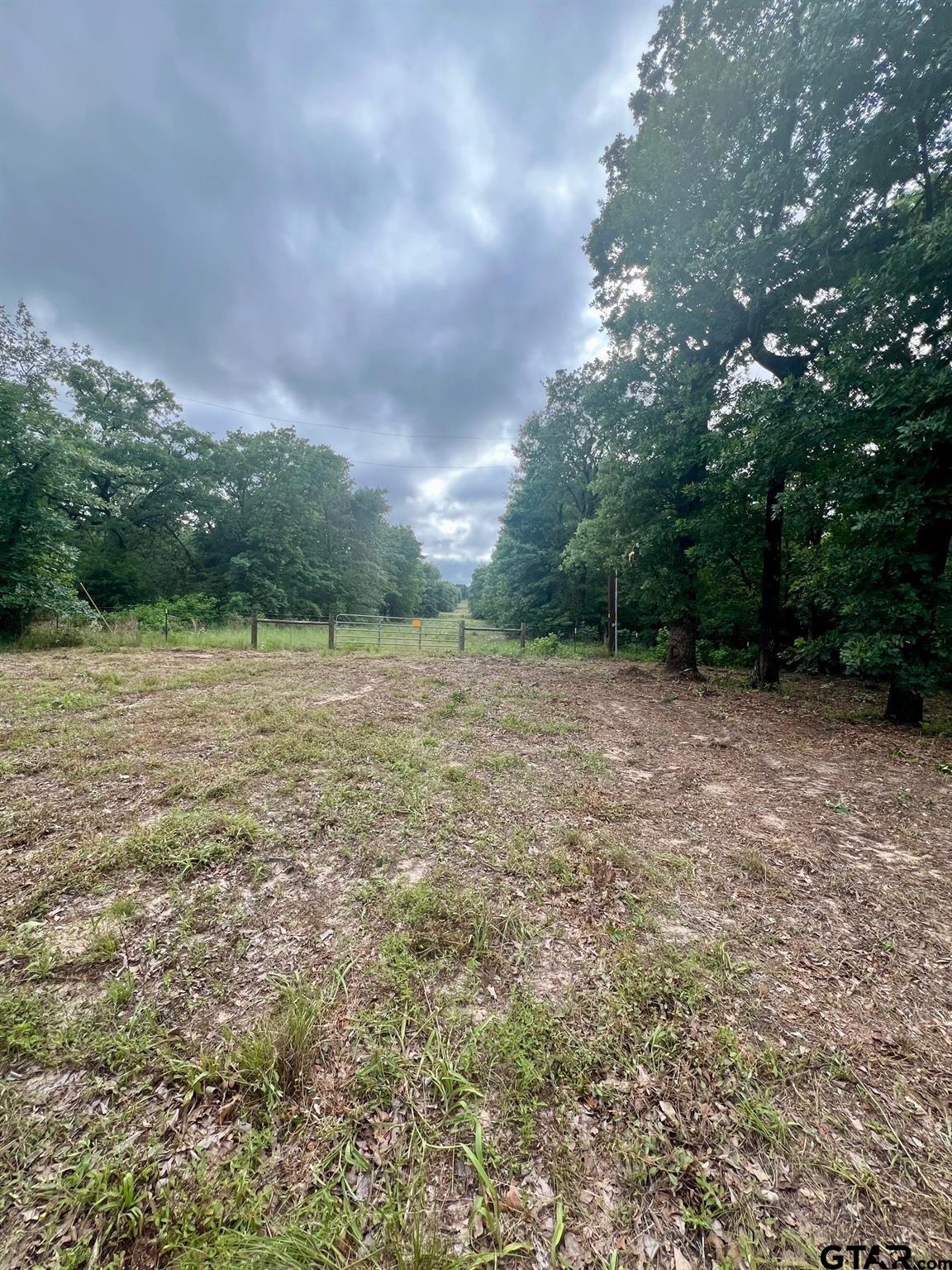 Lot 14 County Road 4801 Athens, TX 75752 - Photo 10 of 15 a view of a field with trees in background