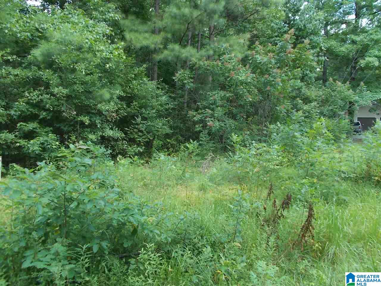 Valley Trail, Unit 500 Hayden, AL 35079 - Photo 2 of 2