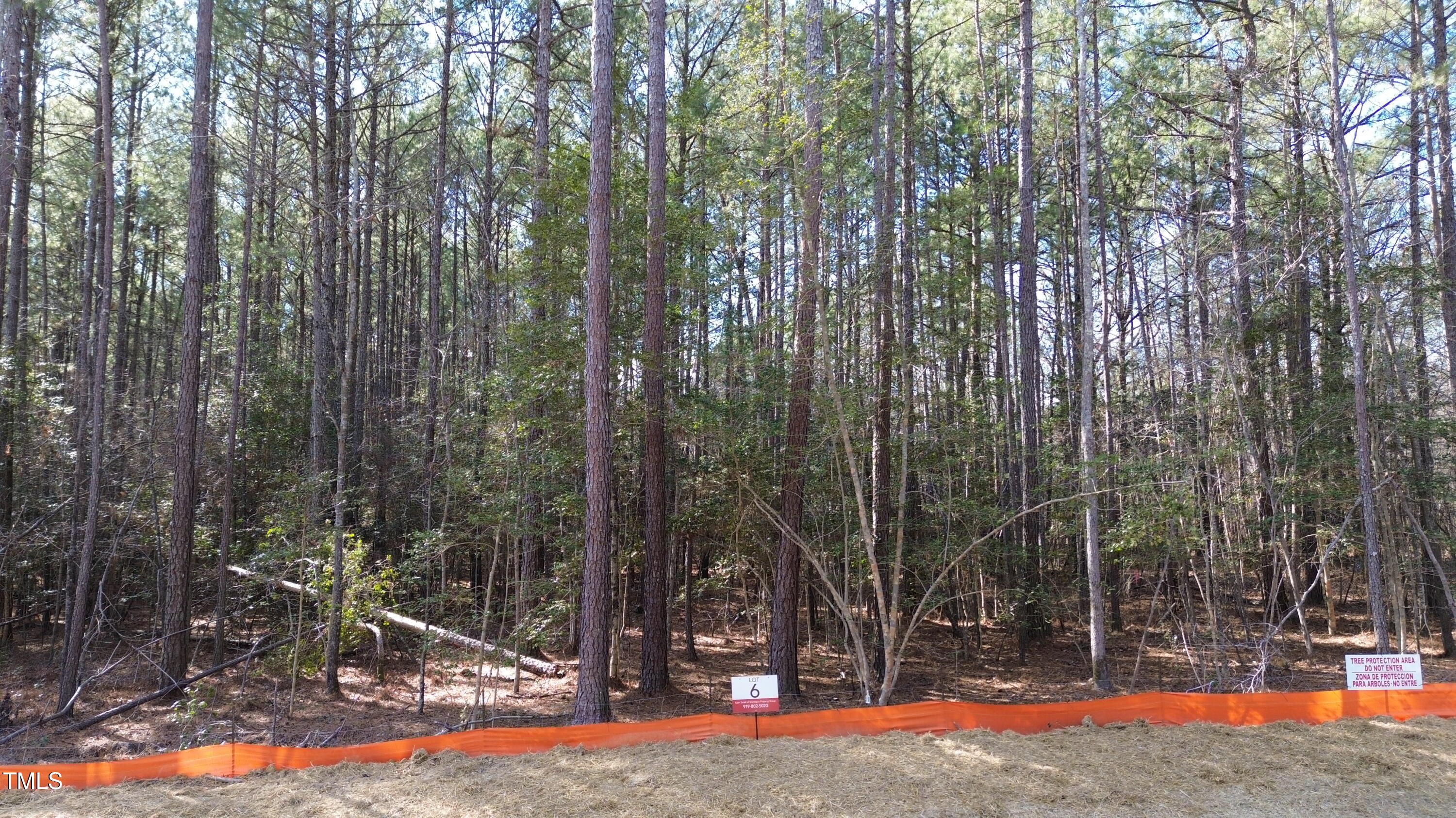 90 Anfield Road New Hill, NC 27562 - Photo 3 of 13 a view of outdoor space with trees