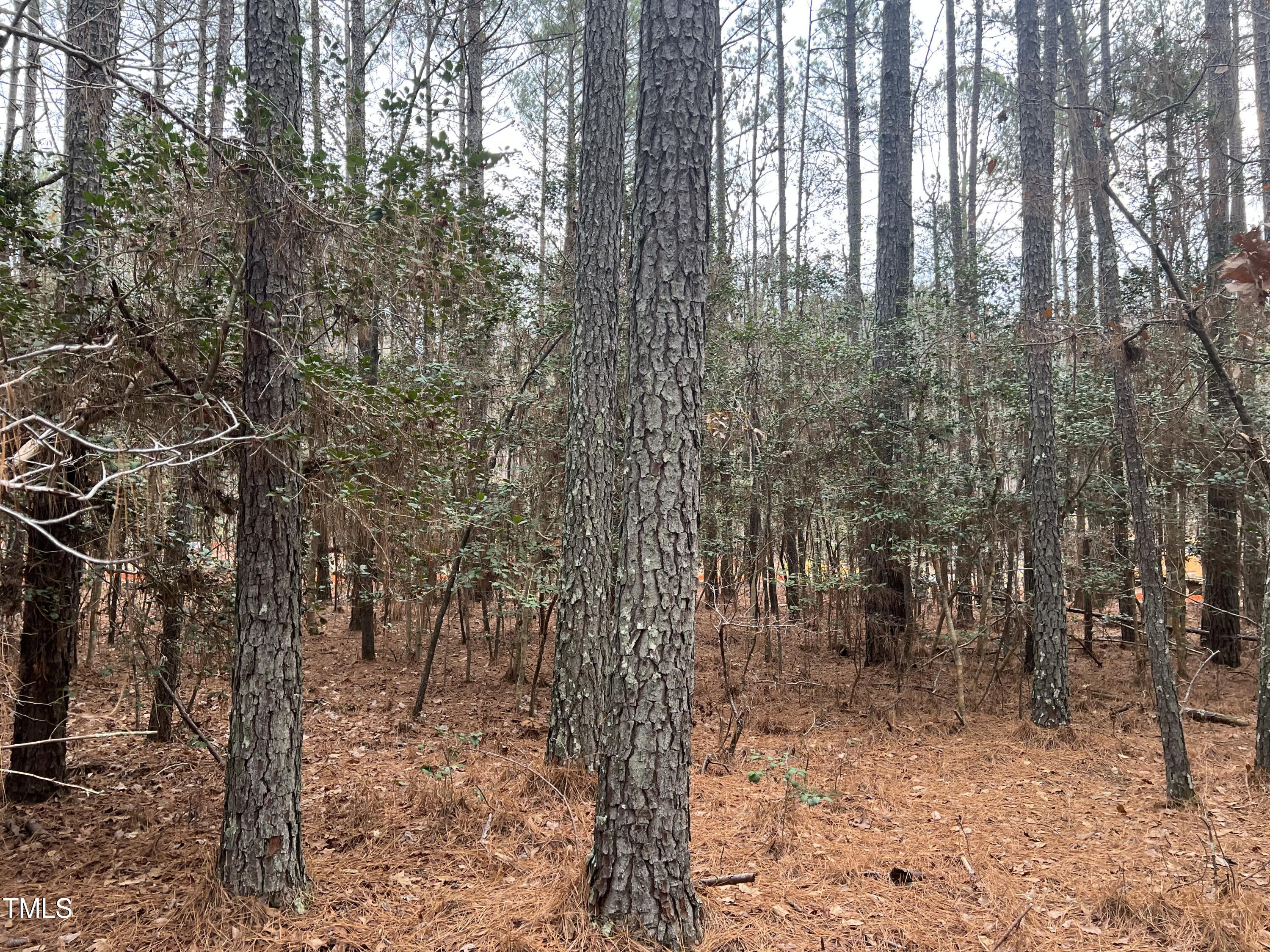 90 Anfield Road New Hill, NC 27562 - Photo 8 of 13 a view of outdoor space