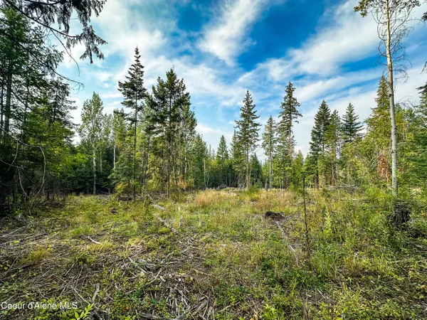 $325,000 | Nna Diamond Road, Naples, ID 83847