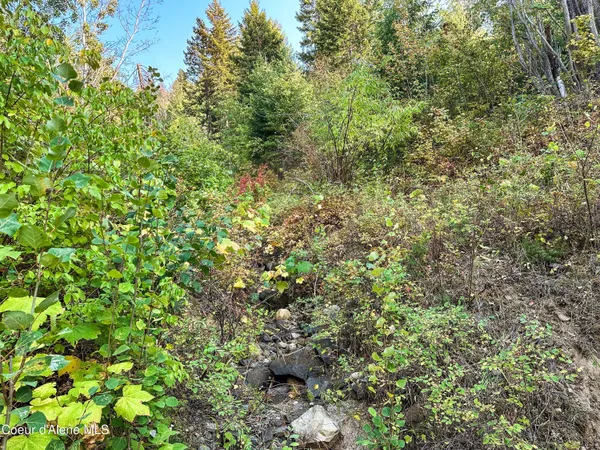 $325,000 | Nna Diamond Road, Naples, ID 83847