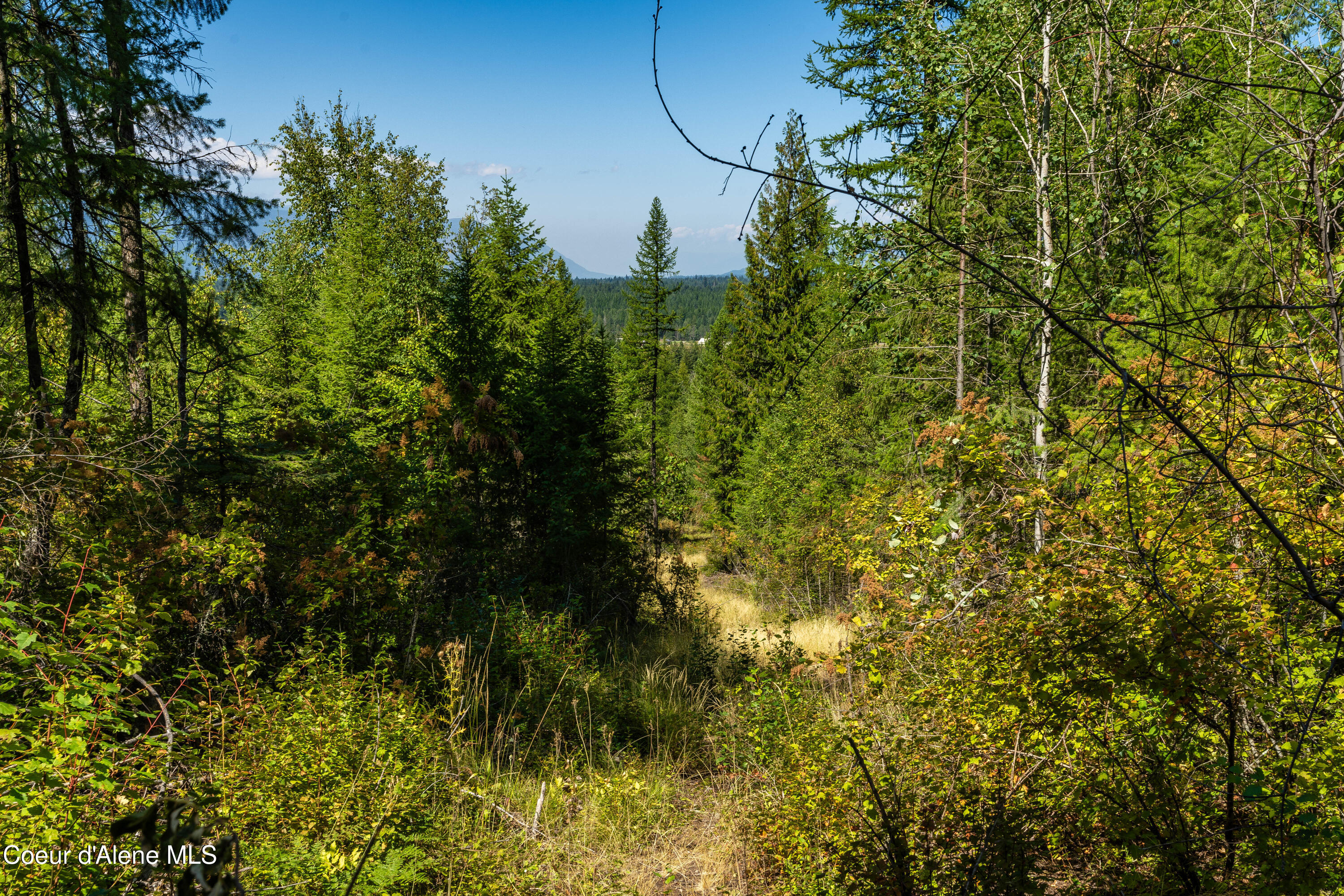 Nna Diamond Road Naples, ID 83847 - Photo 16 of 36 16Feldmann Mountain Lot 1 Photos-13