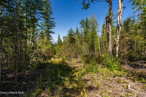 $325,000 | Nna Diamond Road, Naples, ID 83847