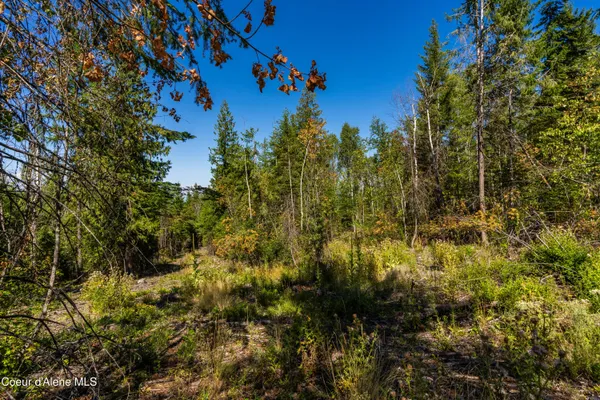 $325,000 | Nna Diamond Road, Naples, ID 83847