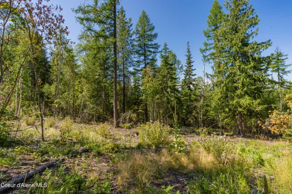 $325,000 | Nna Diamond Road, Naples, ID 83847