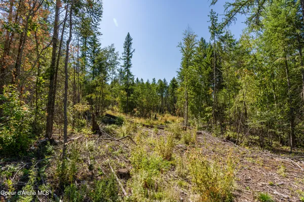 $325,000 | Nna Diamond Road, Naples, ID 83847