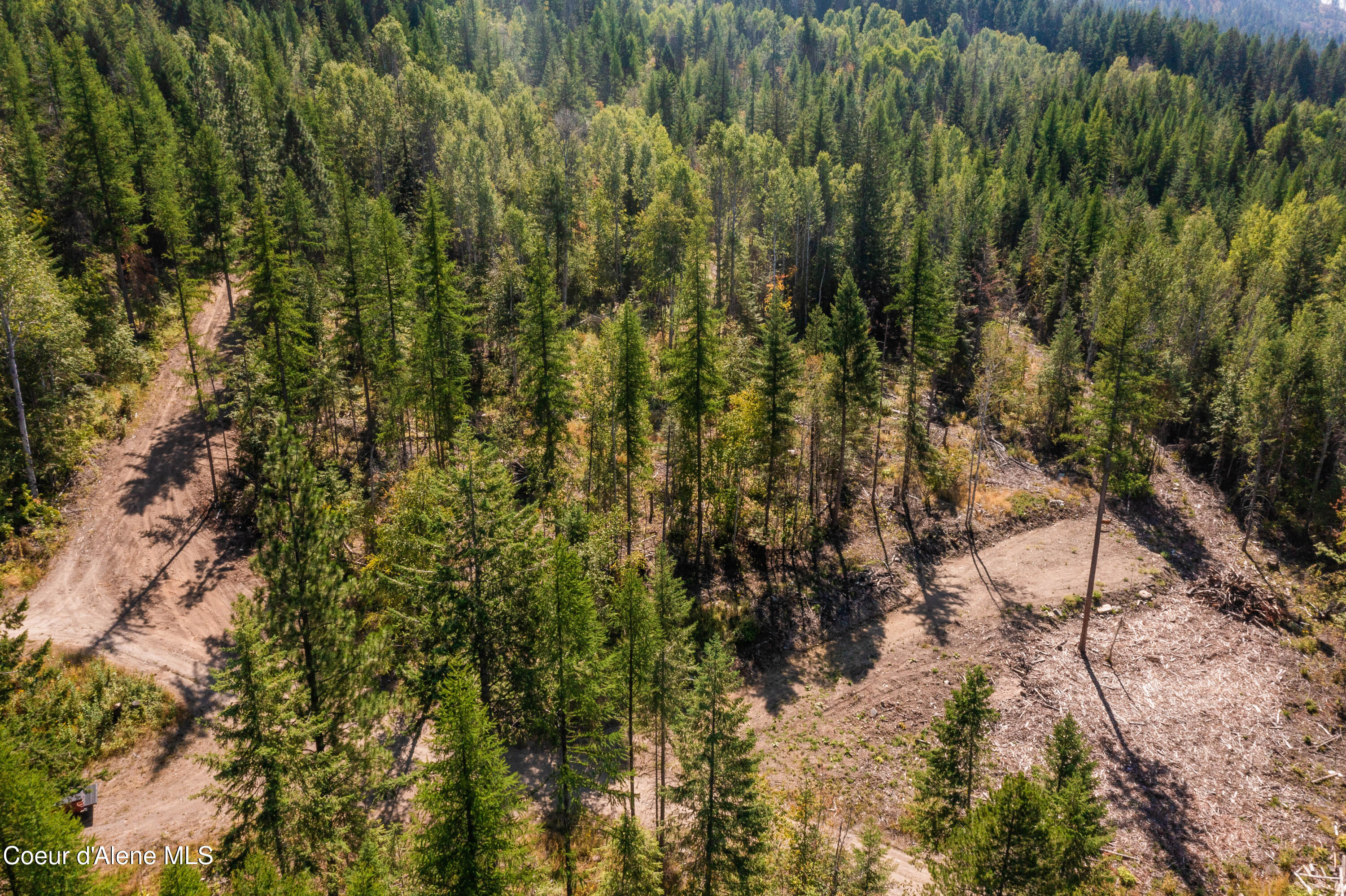 Nna Diamond Road Naples, ID 83847 - Photo 2 of 36 2Feldmann Mountain Lot 1 Photos-1