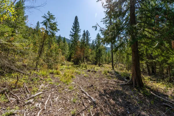 $325,000 | Nna Diamond Road, Naples, ID 83847