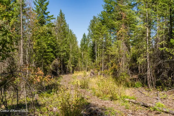 $325,000 | Nna Diamond Road, Naples, ID 83847