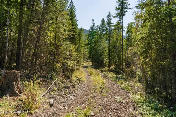 $325,000 | Nna Diamond Road, Naples, ID 83847