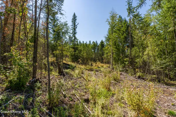 $325,000 | Nna Diamond Road, Naples, ID 83847