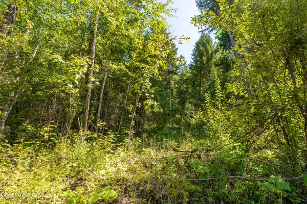 $325,000 | Nna Diamond Road, Naples, ID 83847