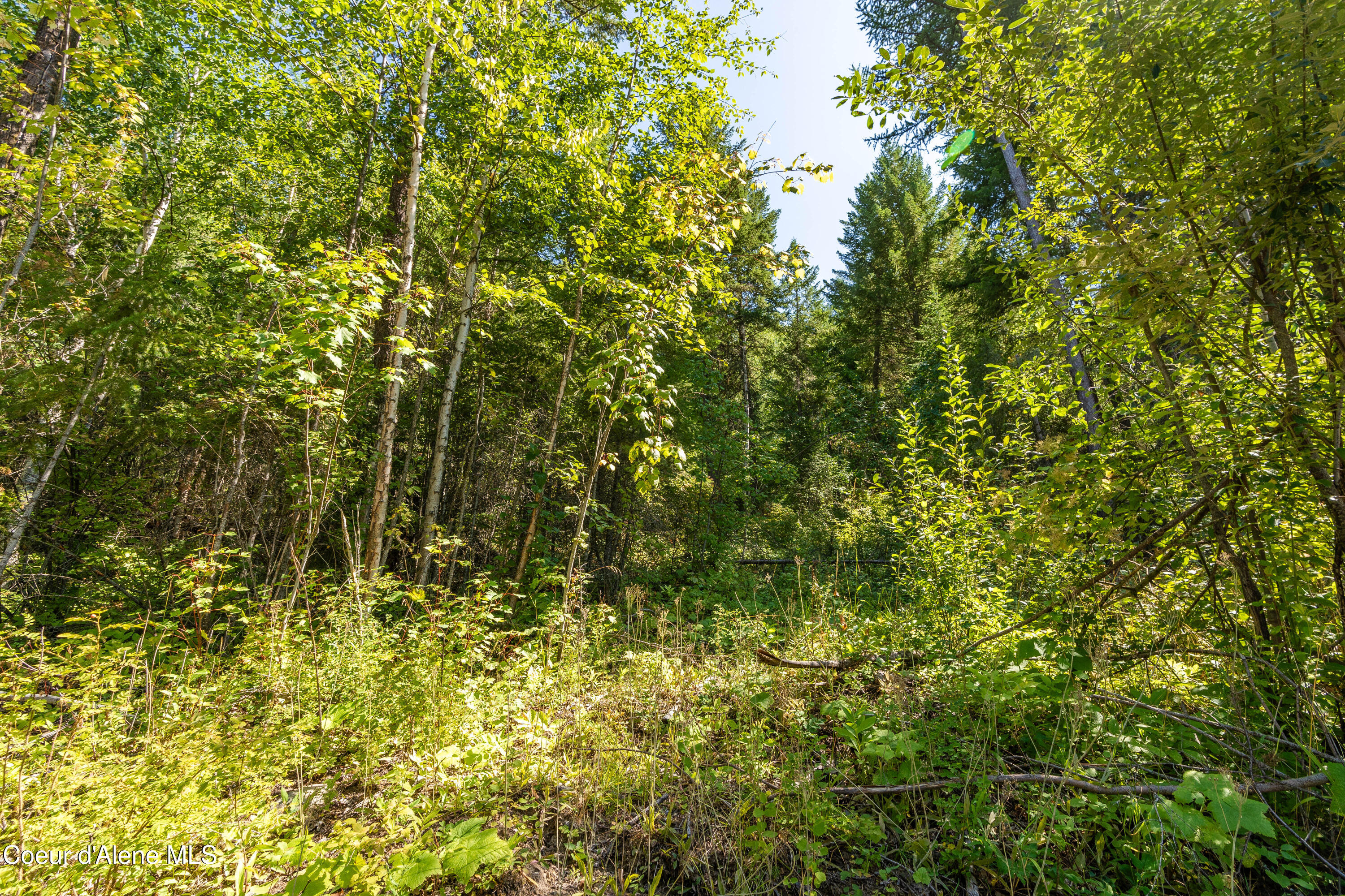 Nna Diamond Road Naples, ID 83847 - Photo 27 of 36 27Feldmann Mountain Lot 1 Photos-24