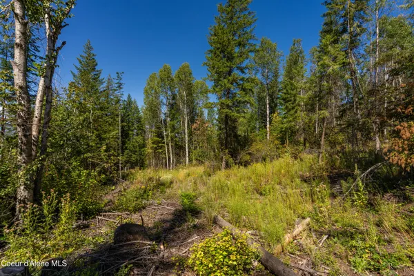 $325,000 | Nna Diamond Road, Naples, ID 83847