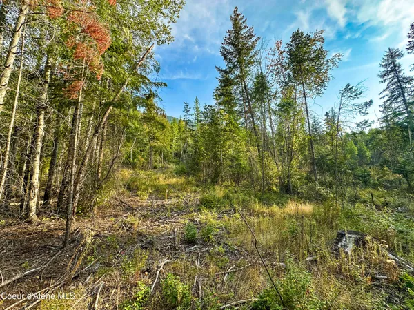 $325,000 | Nna Diamond Road, Naples, ID 83847