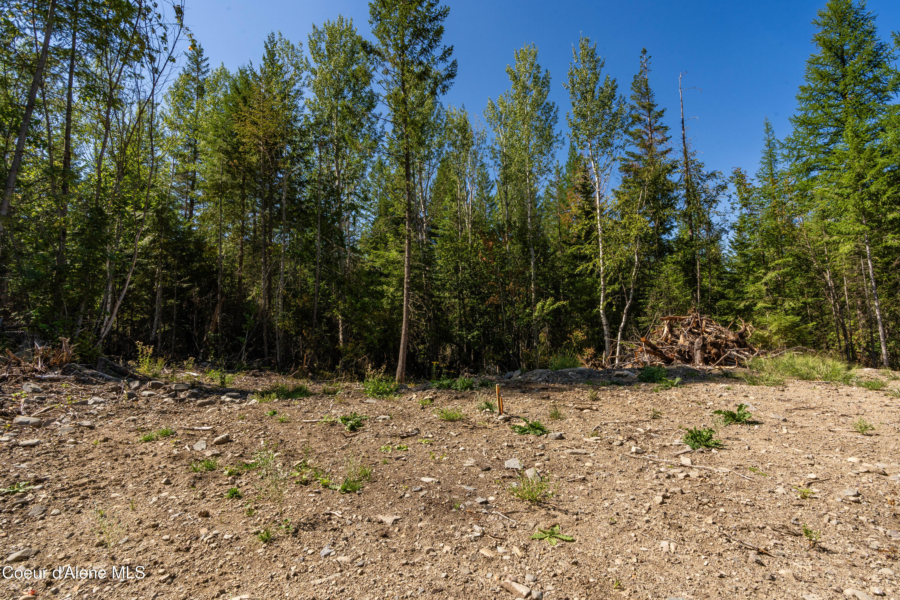 Nna Diamond Road Naples, ID 83847 - Photo 6 of 36 6Feldmann Mountain Lot 1 Photos-8