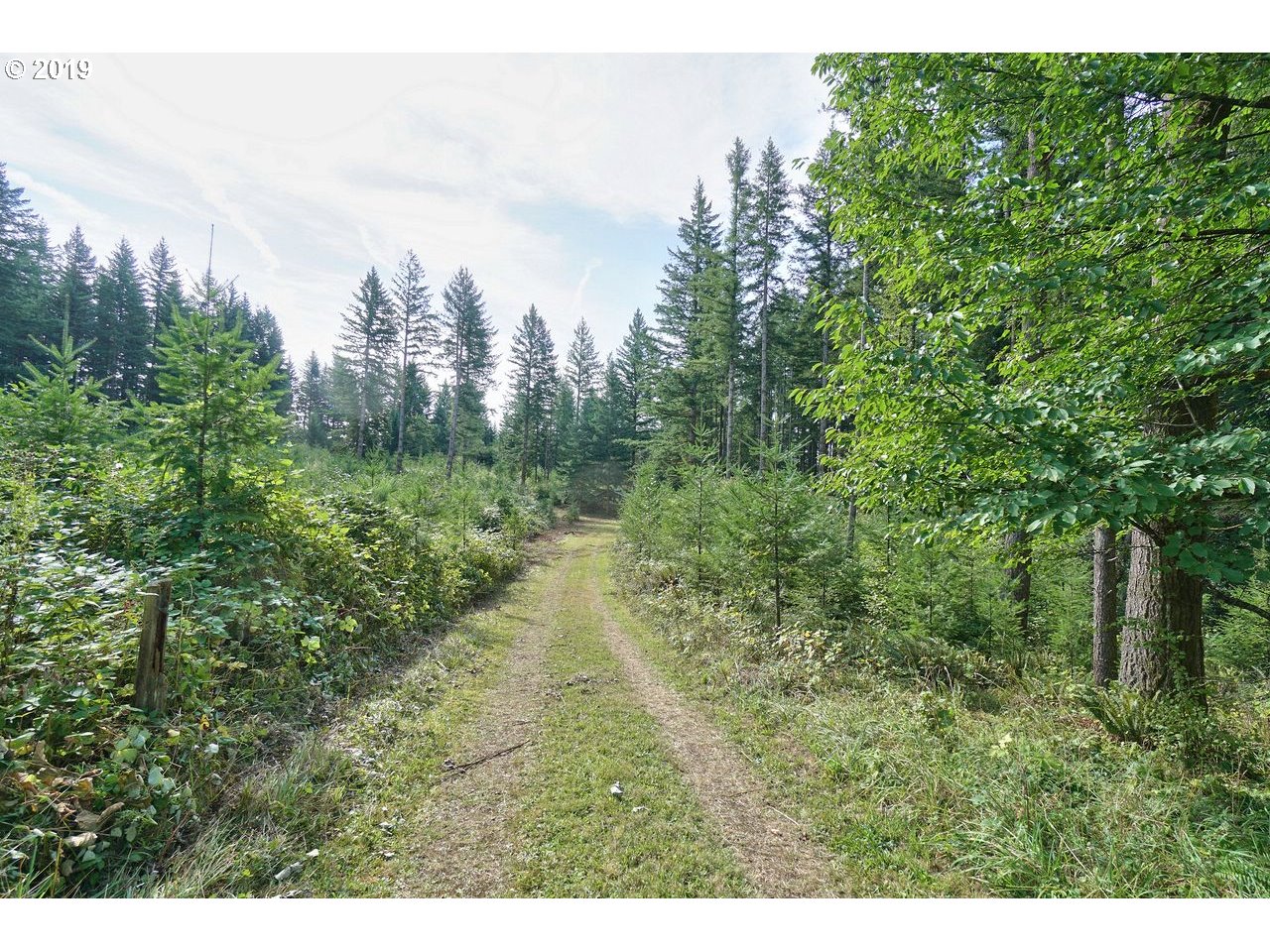 30505 Northeast Ireland Road Camas, WA 98607 - Photo 14 of 25