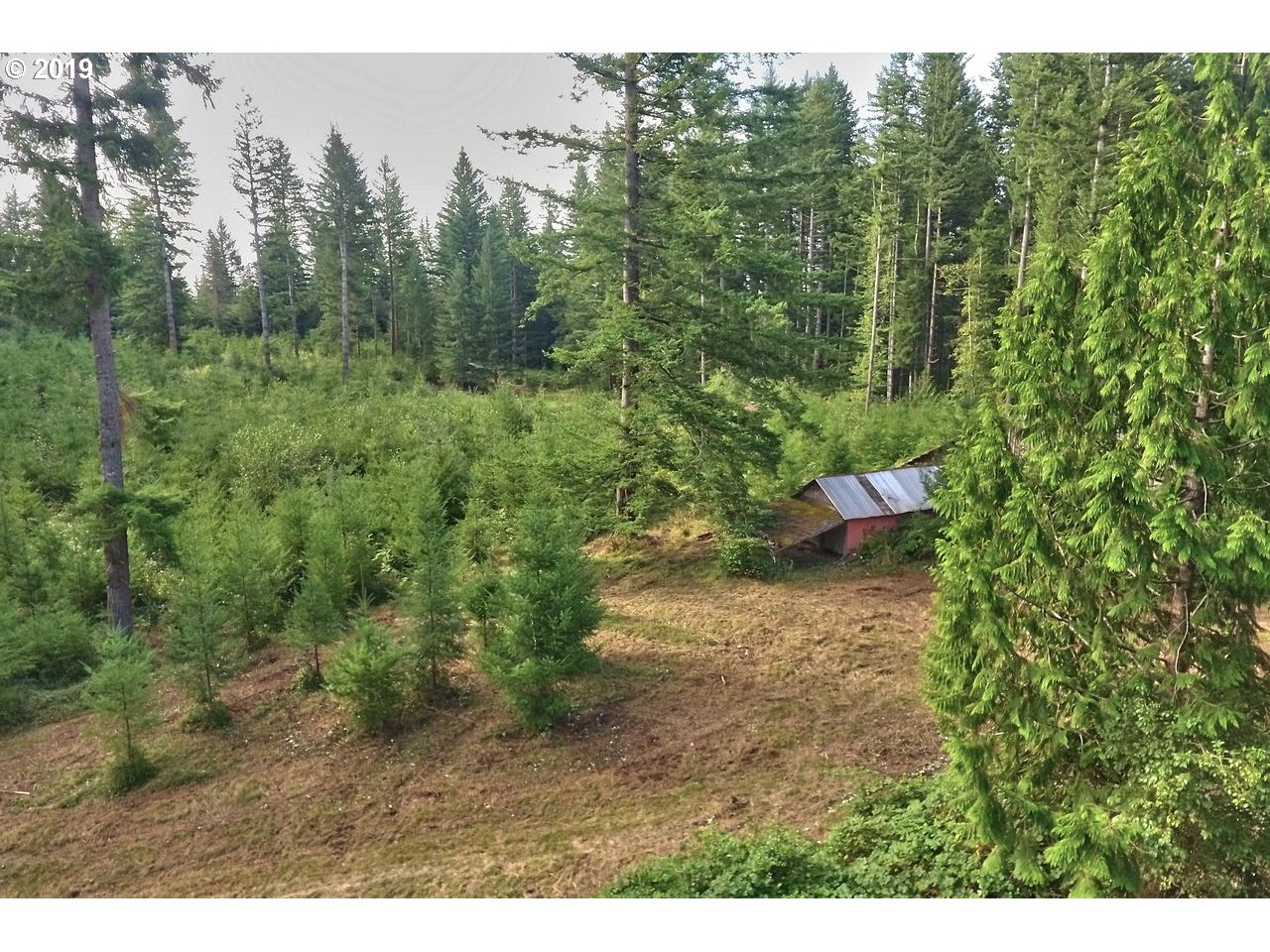30505 Northeast Ireland Road Camas, WA 98607 - Photo 15 of 25