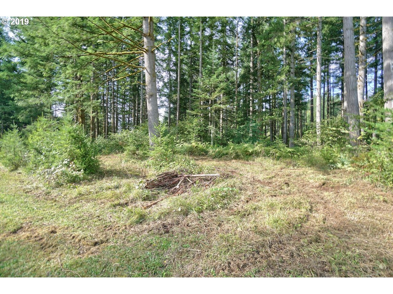 30505 Northeast Ireland Road Camas, WA 98607 - Photo 16 of 25