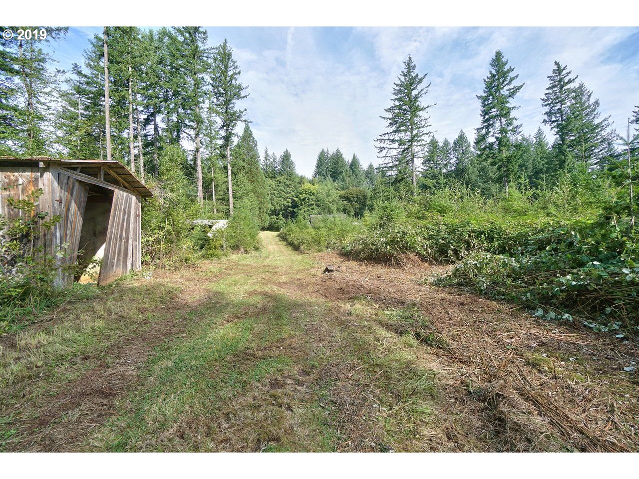 30505 Northeast Ireland Road Camas, WA 98607 - Photo 17 of 25