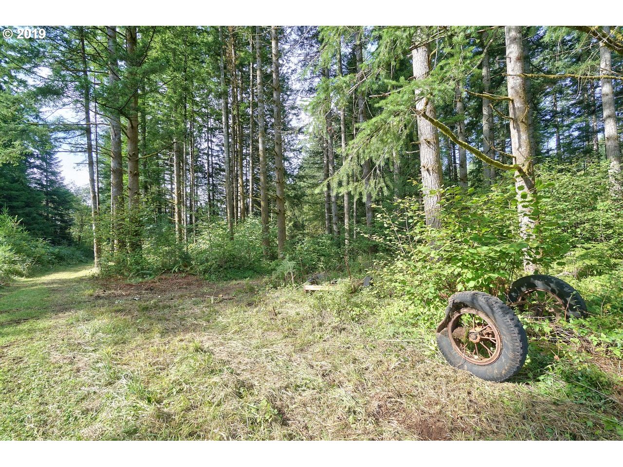 30505 Northeast Ireland Road Camas, WA 98607 - Photo 18 of 25