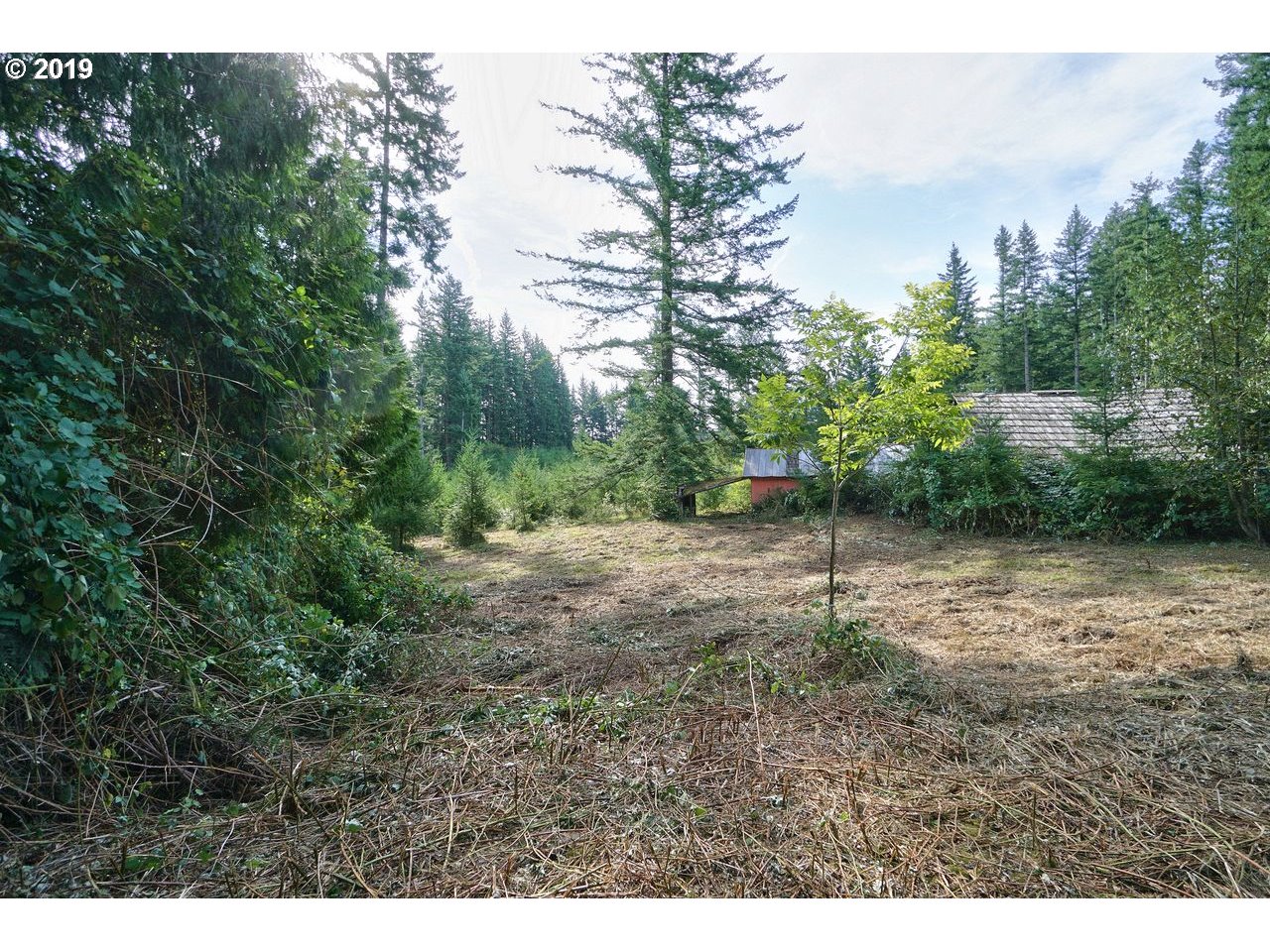 30505 Northeast Ireland Road Camas, WA 98607 - Photo 20 of 25