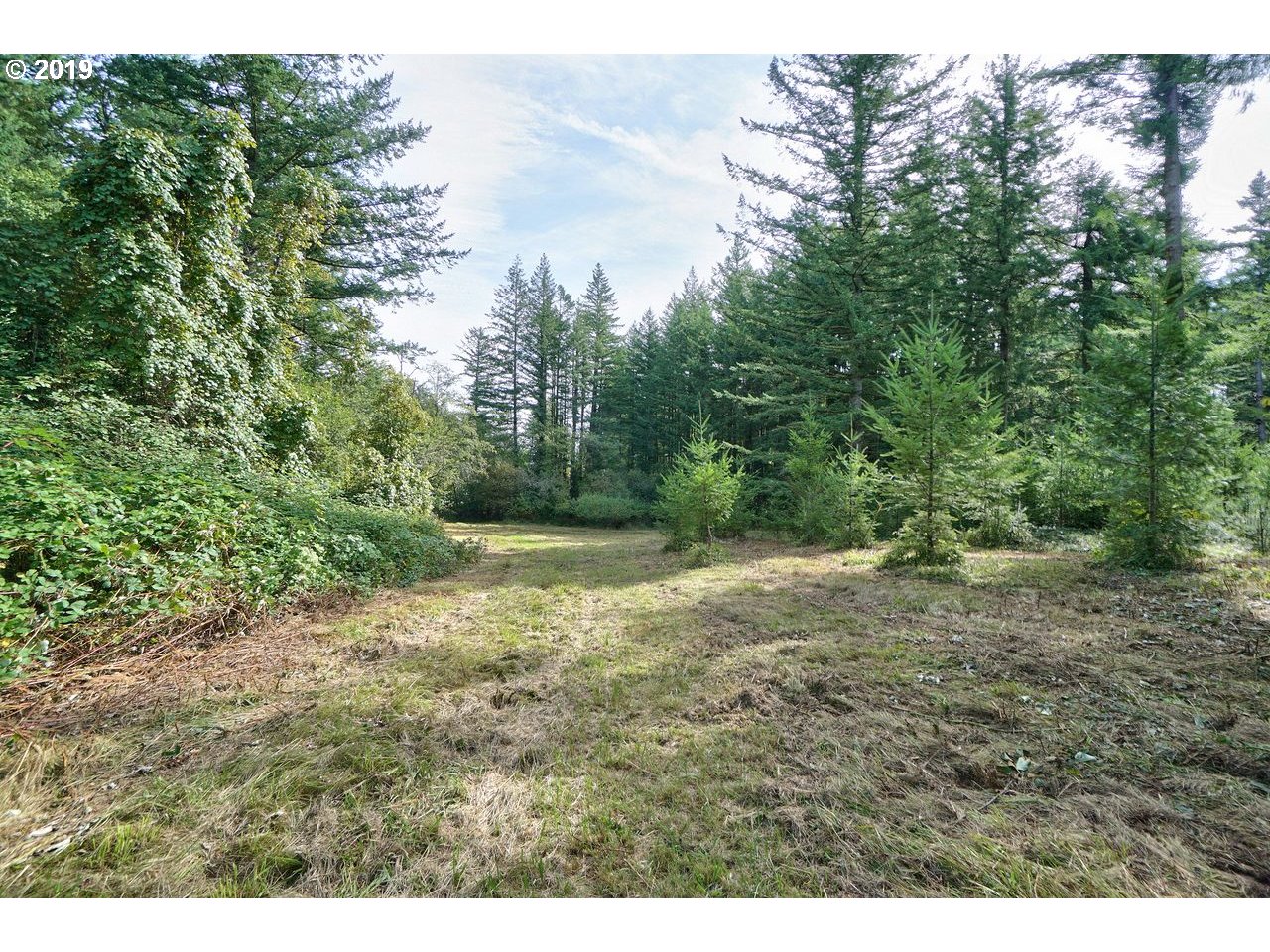 30505 Northeast Ireland Road Camas, WA 98607 - Photo 3 of 25