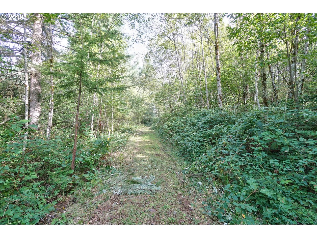 30505 Northeast Ireland Road Camas, WA 98607 - Photo 21 of 25