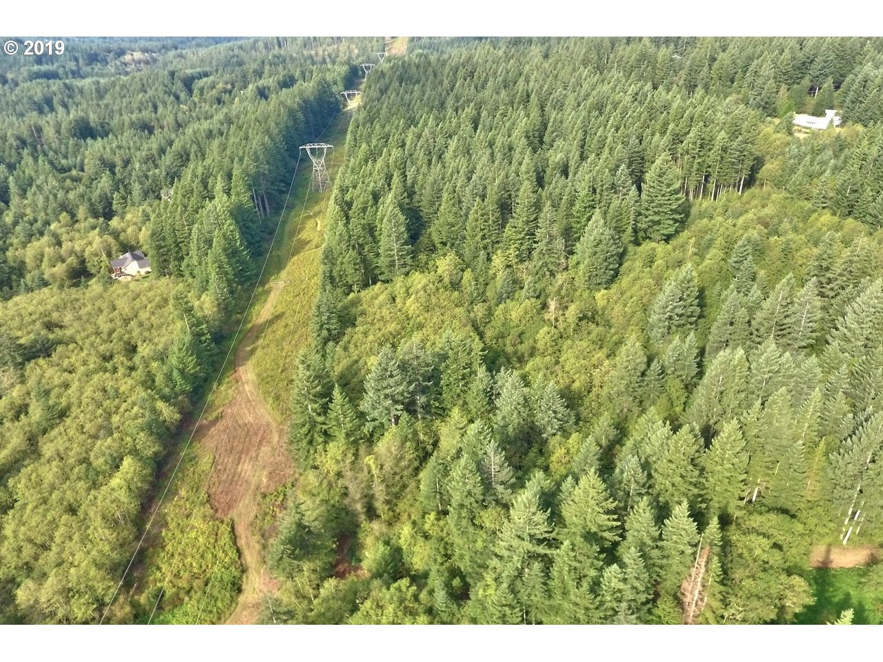30505 Northeast Ireland Road Camas, WA 98607 - Photo 4 of 25