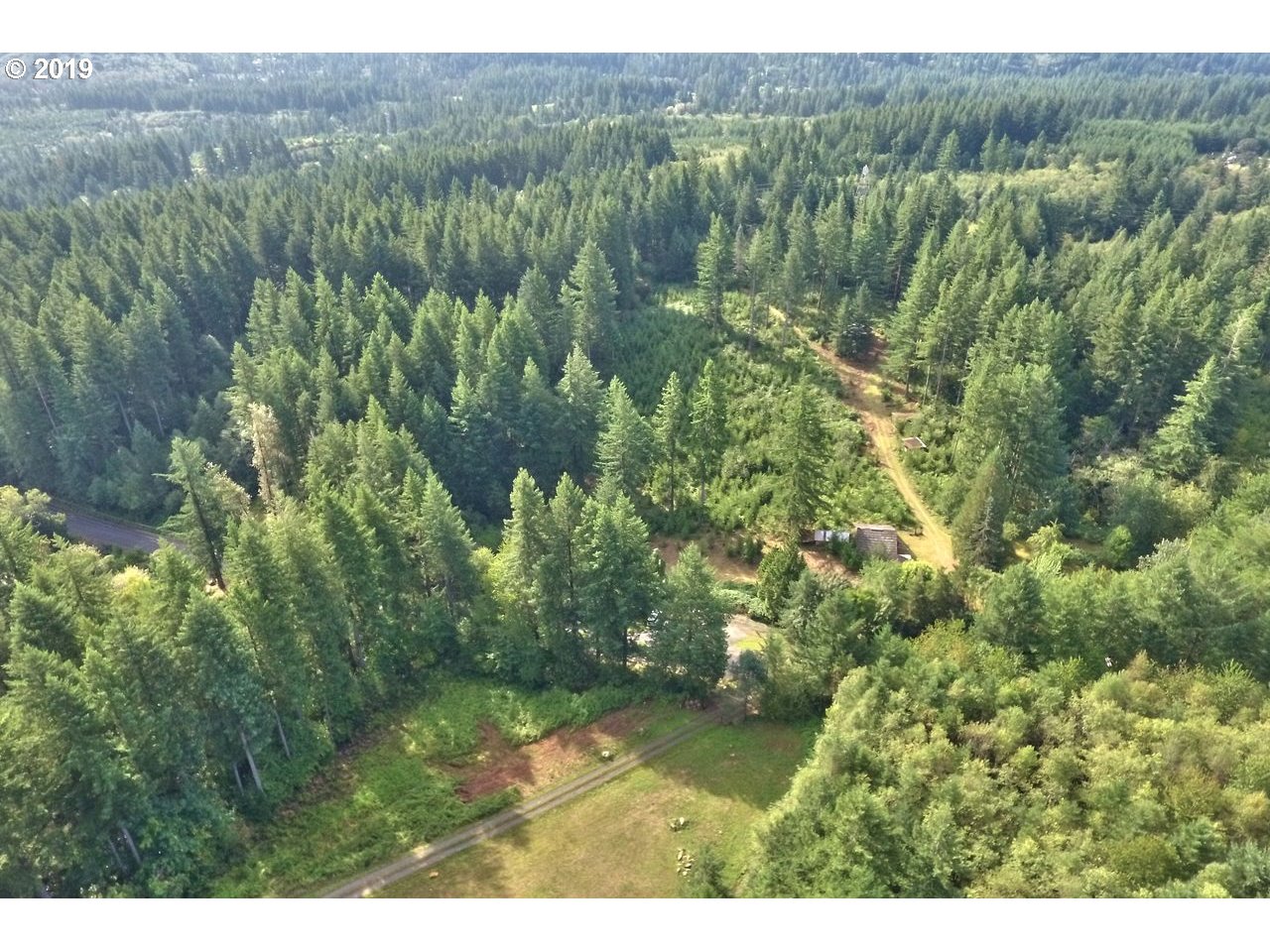 30505 Northeast Ireland Road Camas, WA 98607 - Photo 5 of 25