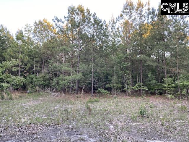1155 Jones-Wire Road Swansea, SC 29160 - Photo 2 of 6