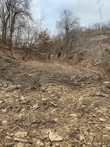 a view of a yard with trees