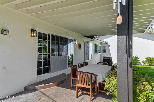 a view of a tree with a flower