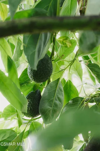 a view of a swimming pool